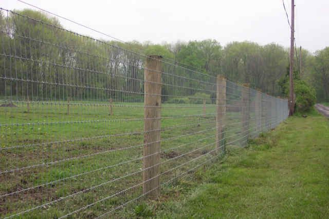 Woven wire field fence on wood posts along a pasture