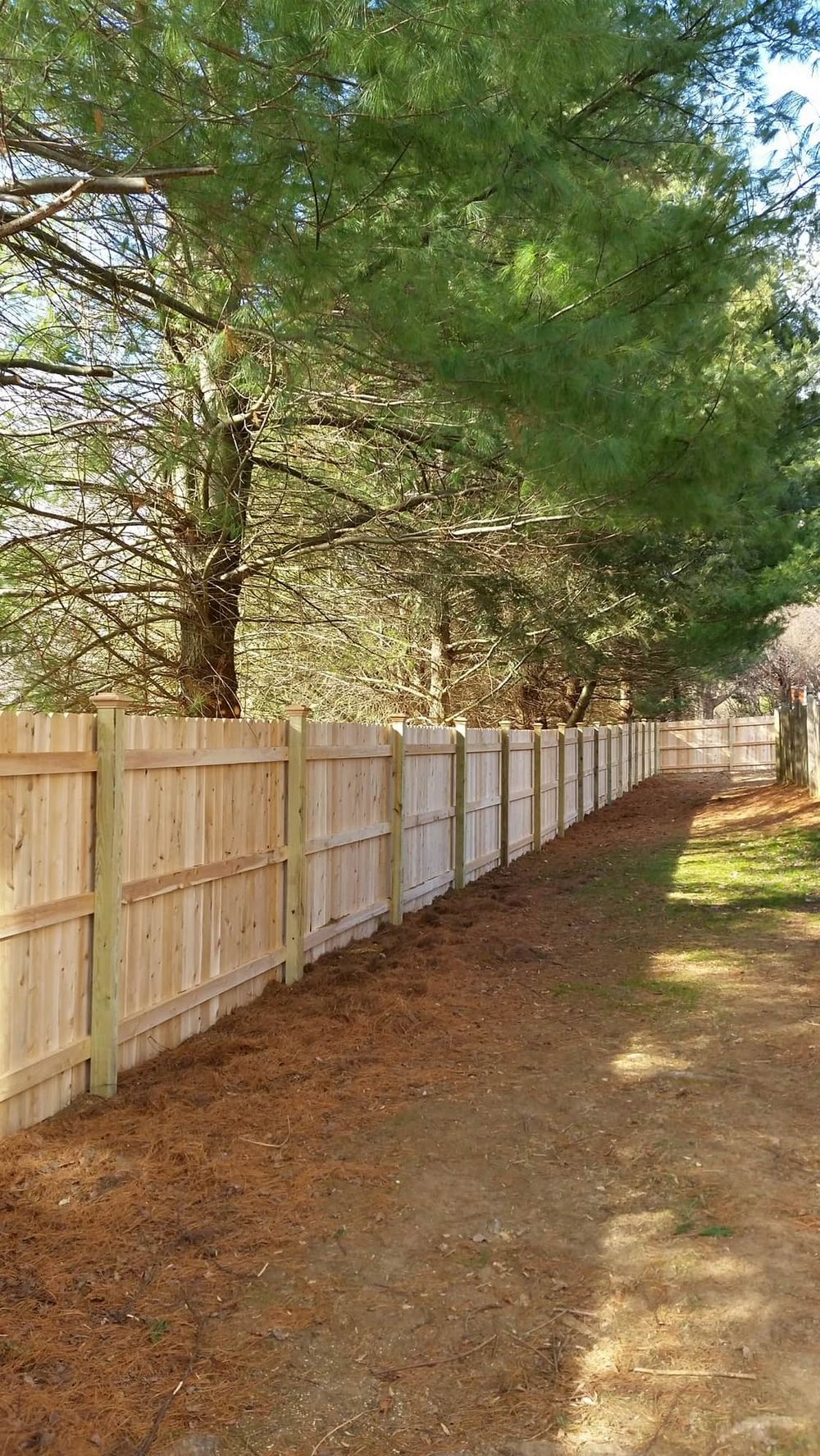 Wood privacy fence with dog-ear pickets and capped posts along a tree line